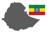 08a38a_b3f95a7c97a648ef829992a7893ffc12~mv2